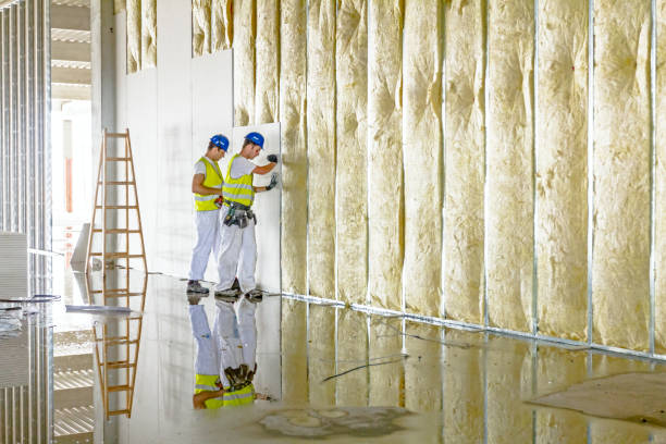 Best Commercial Insulation in Santa Rosa, NM